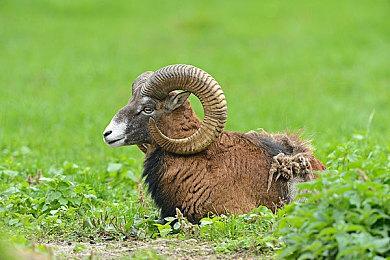 Xbox老板呼吁不要将游戏“武装化”用于“平台间论战”